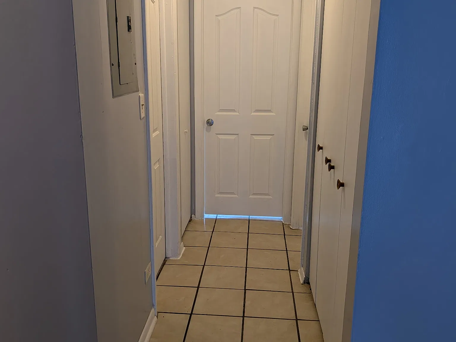 E Turtle Creek Cir, Palatine — Photo 3