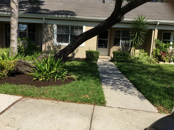 1394 Wickford St, Safety Harbor, FL 34695