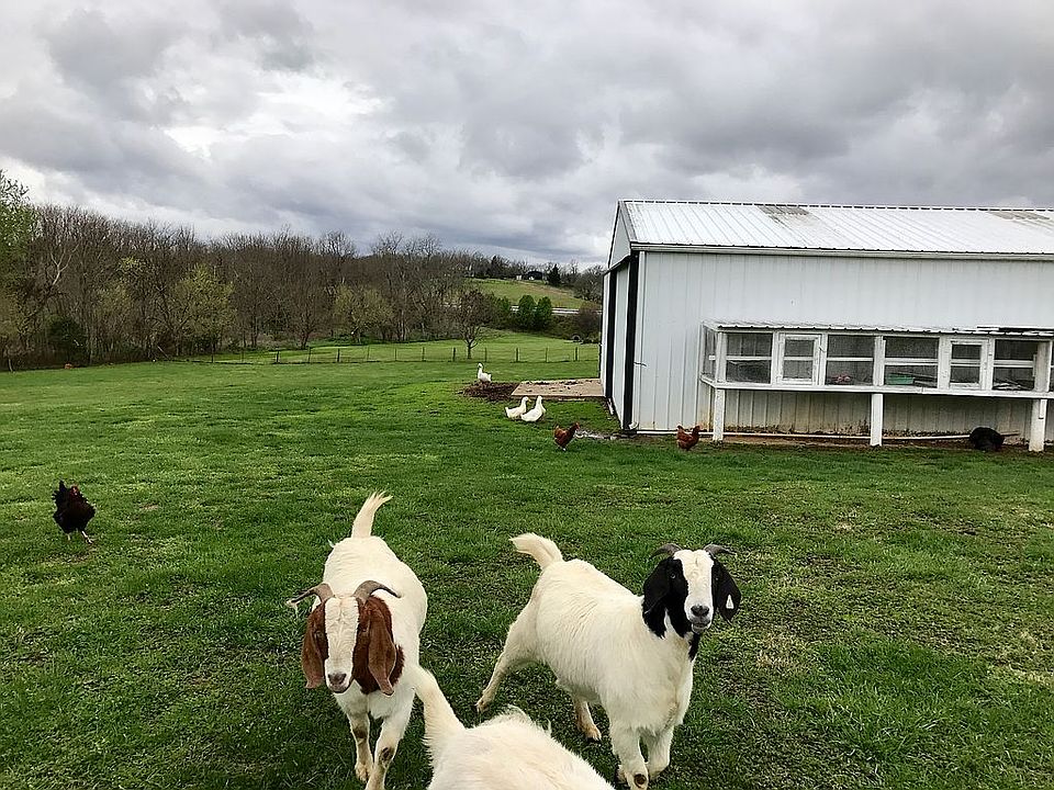 1st image of 8209 Owenton Rd