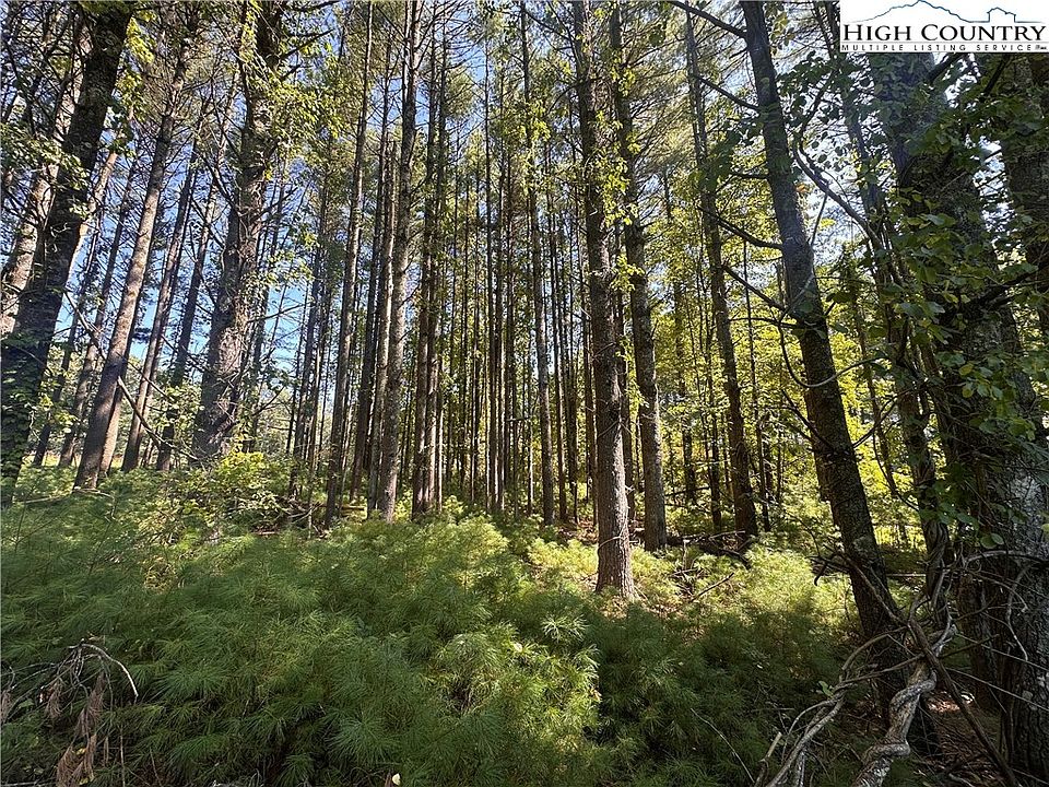 2nd image of TBD Billings Way Road
