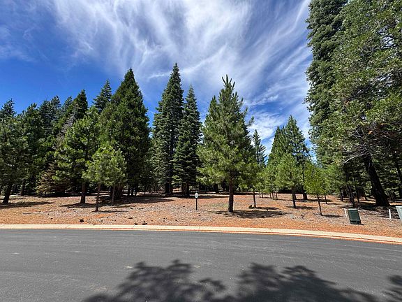 2nd image of 319 Alpine Fir Rd