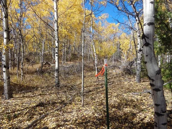 Tbd Clear Creek Trl, Anaconda, MT 59711