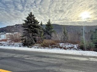291 N River Rd, Division No. 1, Subd. North, NL A0A2Z0