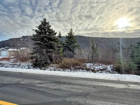 291 North River Road, North River, NL A0A3C0