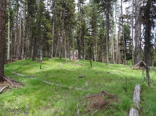 A2 Enchanted Forest Rd, Seeley Lake, MT 59868