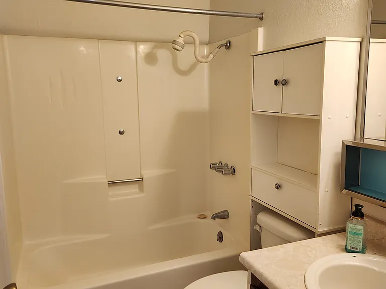 hall bathroom