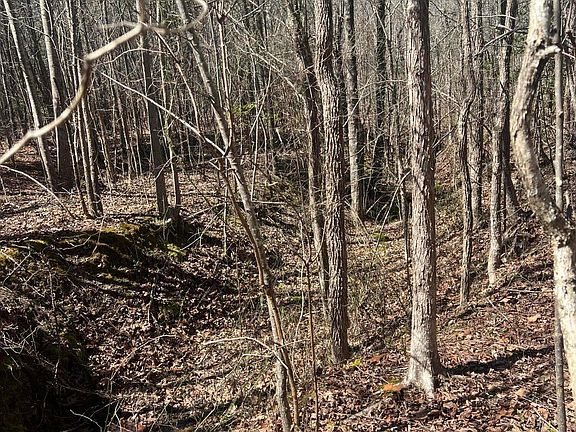 4th image of 299 Hodges Rd