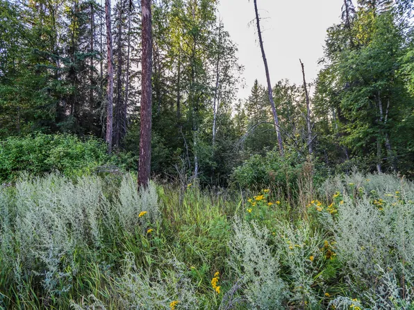 2150 Us Highway 93 W, Whitefish, MT 59937