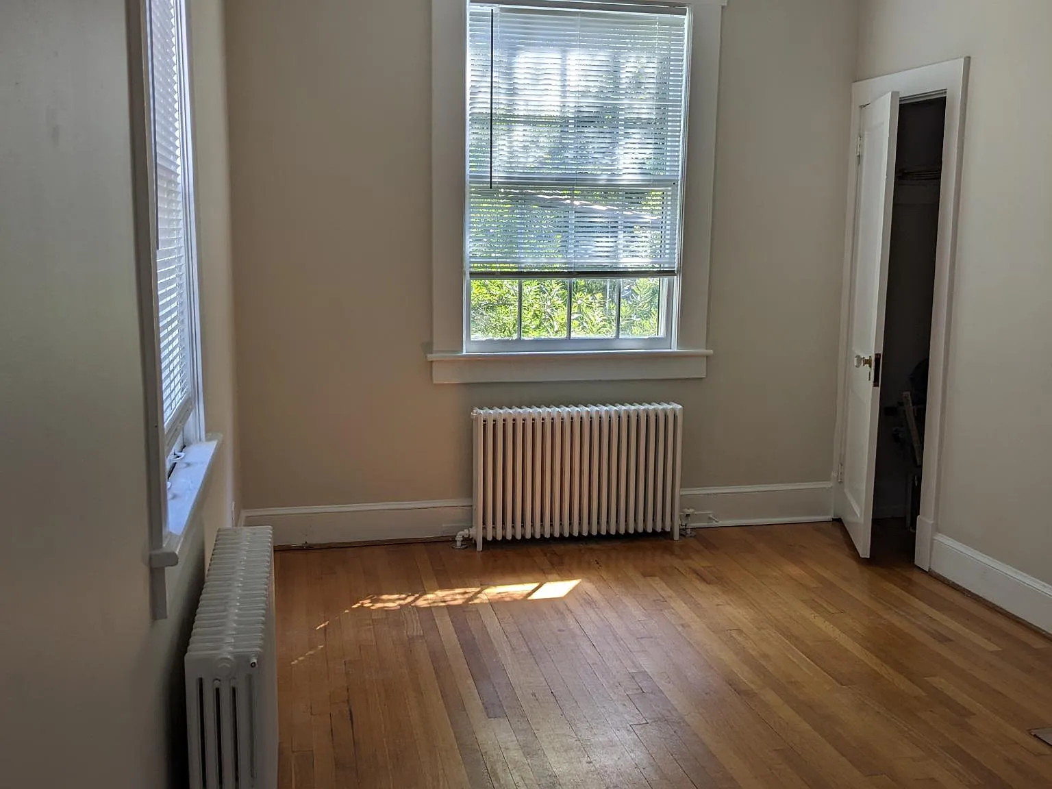 1 bed, 550 sqft, $1,599 — Photo 4