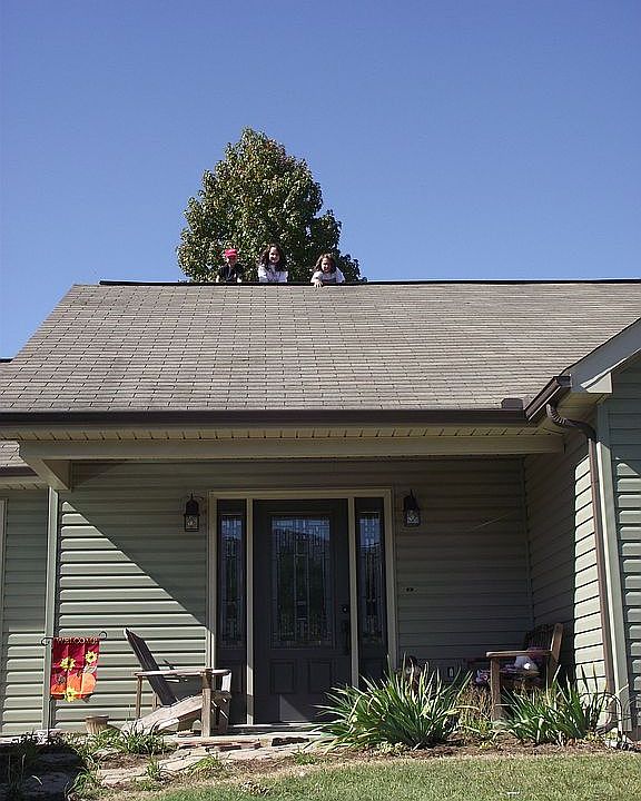 1st image of 6532 Orchard Creek Ln