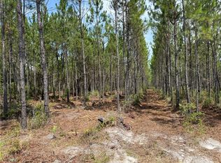0 Corbitt Rd, Manor, GA 31550