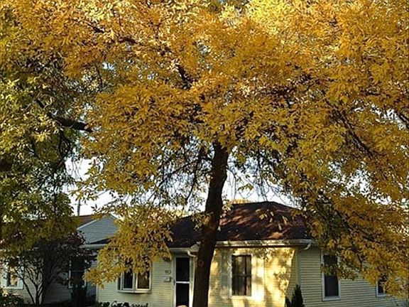 Front/Autumn