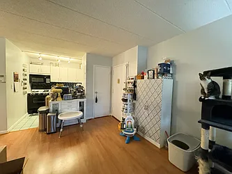 Rented by Pear NYC LLC
