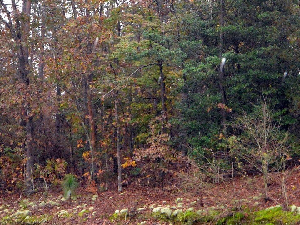 2nd image of 2973 Highway 1 N