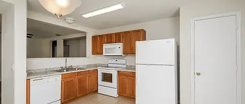 11019 Golden Silence Dr — Photo 30