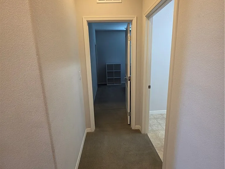 7926 Torreys Peak St — Photo 35