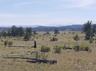 568 Grand Teton Dr, Hartsel, CO 80449