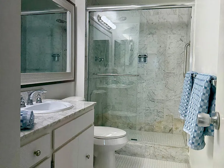 Guest bathroom