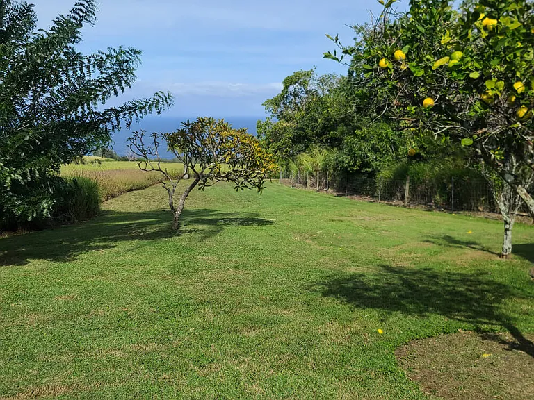 Kahawai Rd — Photo 9