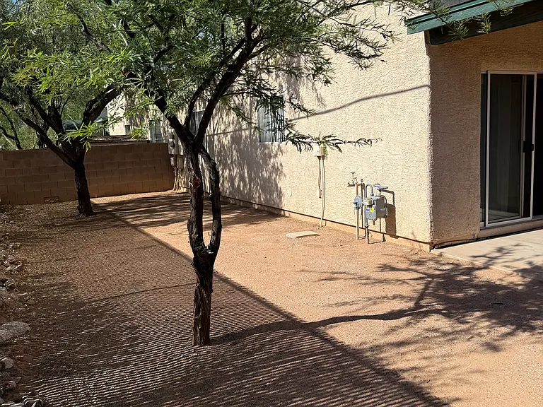 Rear Yard