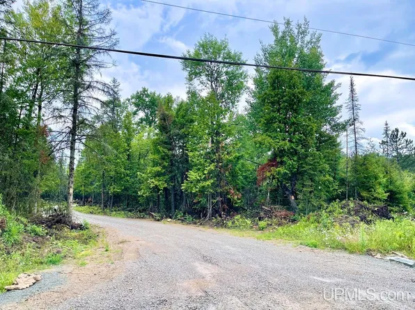 9987 K10 17th Rd, Rapid River, MI 49878