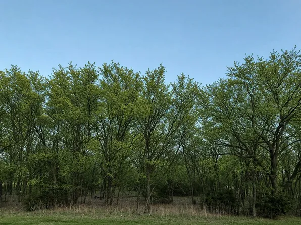 8093 Canja Dr, Fort Worth, TX 76126