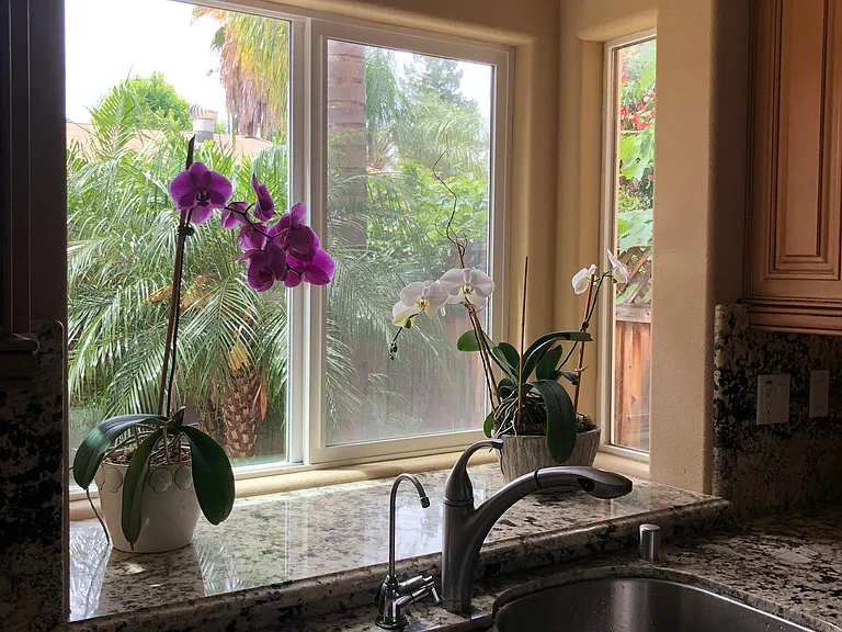 3401 Bundy Estates Pl — Photo 8