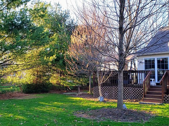 Backyard  and deck
