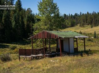 101 Navajo Cir, Divide, CO 80814