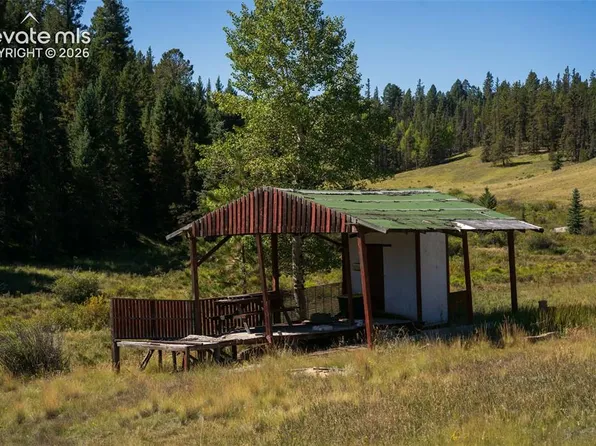 101 Navajo Cir, Divide, CO 80814