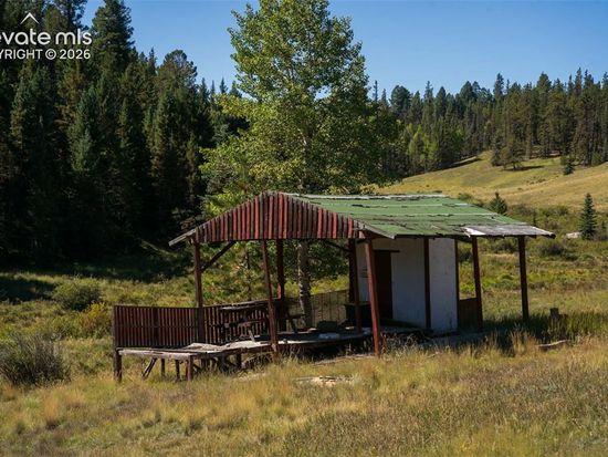 101 Navajo Cir, Divide, CO 80814