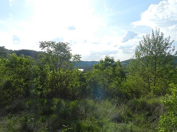 3rd image of Lakeview Dr