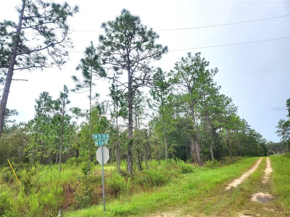 TBD SW 125TH TERRACE ROAD LOT 9, OCALA, FL 34481