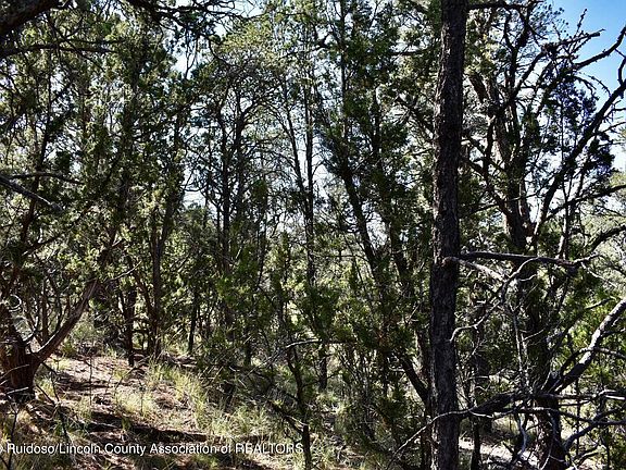 4th image of LOT 15 Shoshone Trl