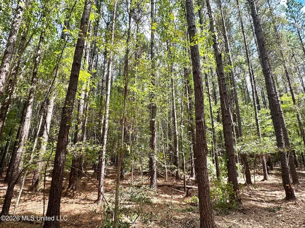3 Clara Foote Rd, Braxton, MS 39044