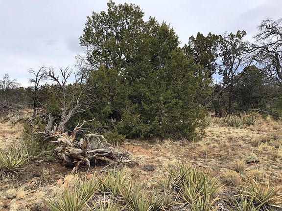 4th image of 585 Betty Ln