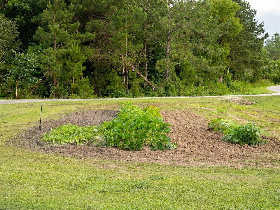 67th image of this home