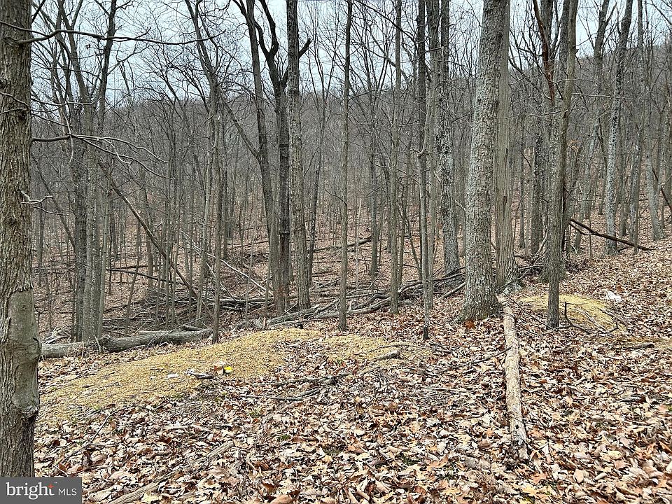 23 Heavens Tree Trl, Star Tannery, VA 22654 MLS VASH2005288 Zillow