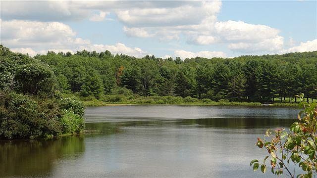 1st image of Lake Lorraine Ln
