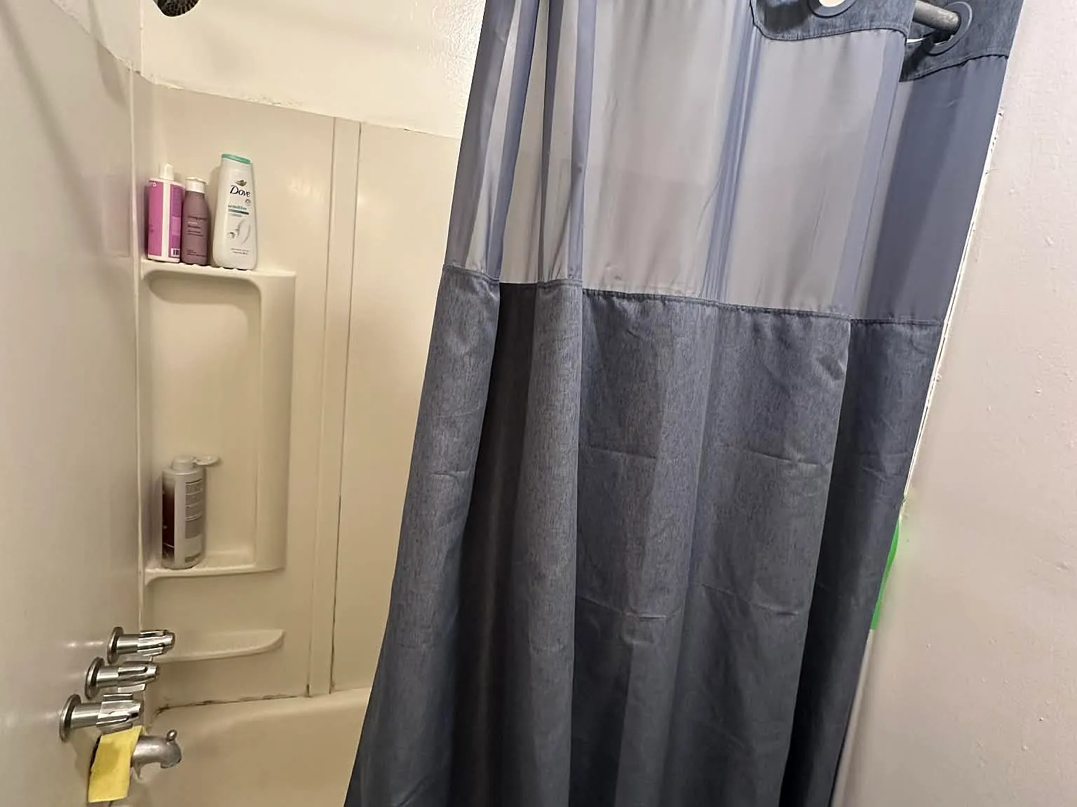 1 bed, $1,150 — Photo 4