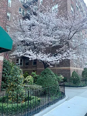 Sold by Esther Flynn Real Estate | media 39