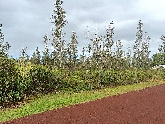 1st image of Tree Fern Dr Lot 20