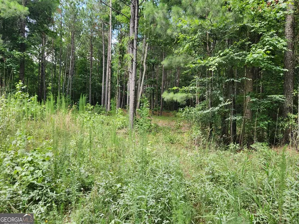 0 Holman Rd, Monticello, GA 31064