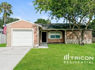 14004 Basin St, Tampa, FL 33625