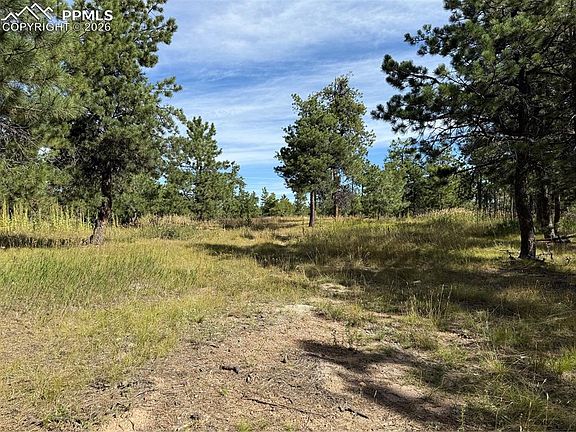 3rd image of 17405 E Goshawk Rd