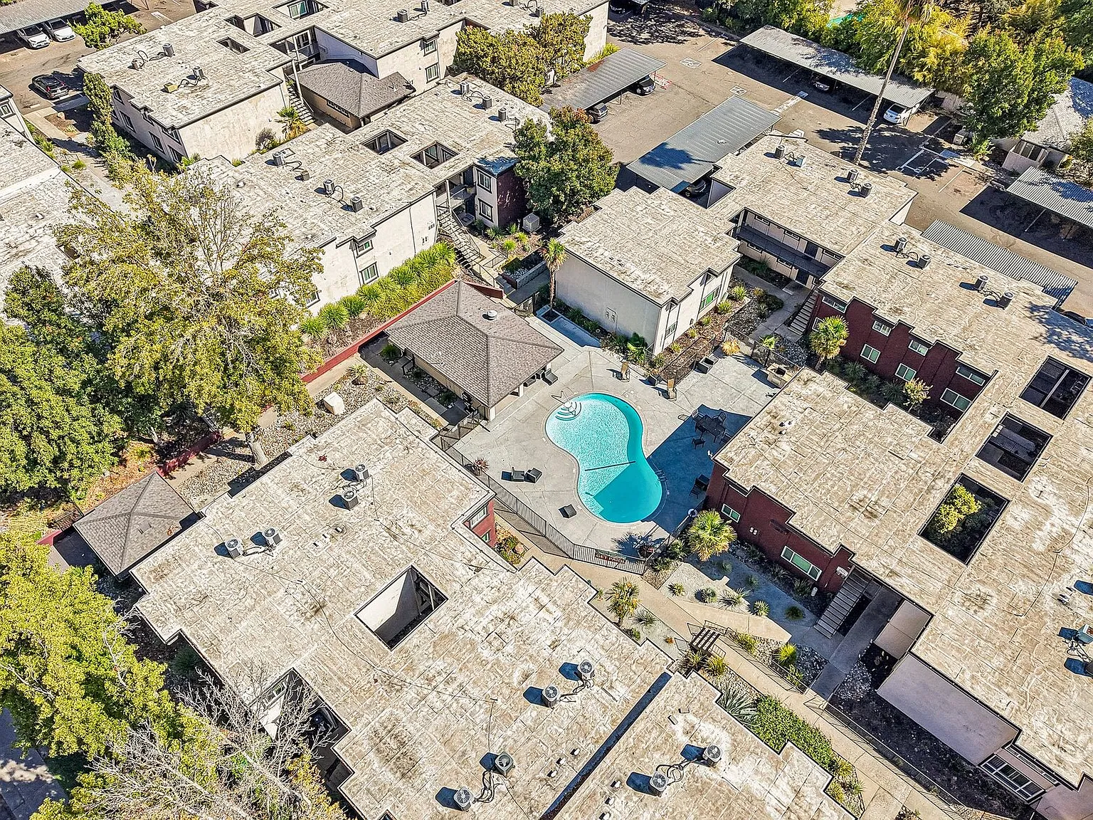 Villa Regia Apartments — Photo 4