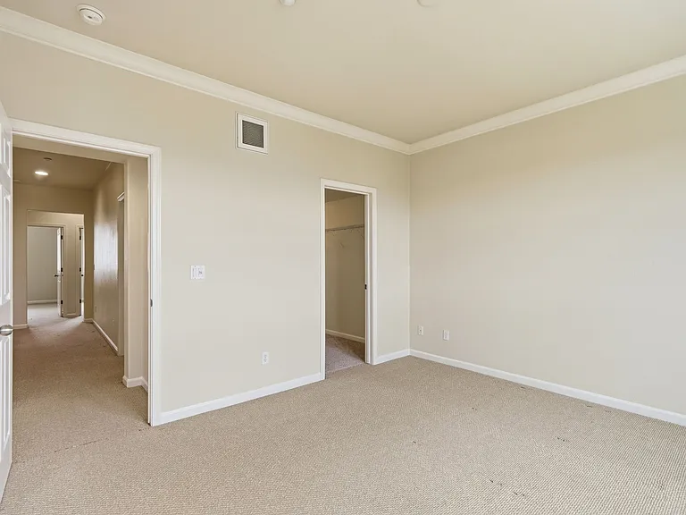 5206 Fioli Loop — Photo 42
