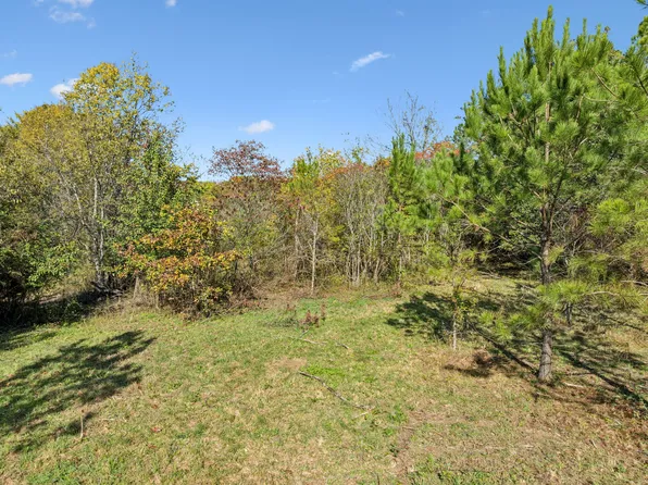 7489 Shoals Branch Rd, Primm Springs, TN 38476