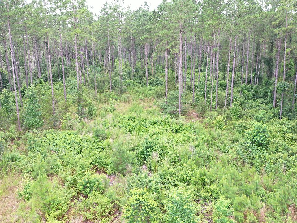 1st image of 63 Dogwood Hills Rd