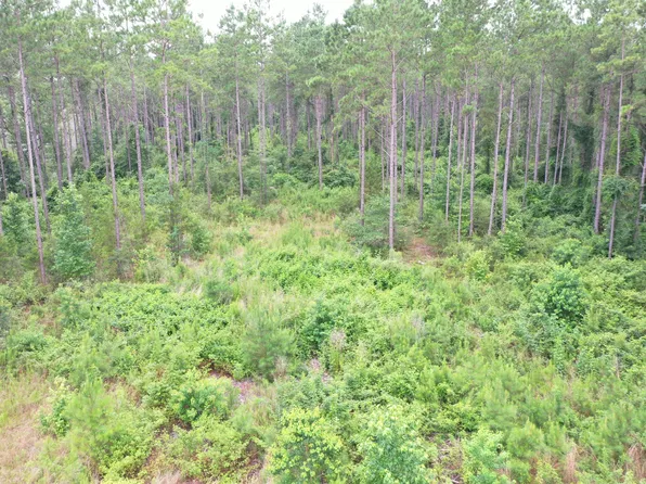 63 Dogwood Hills Rd, Laurel, MS 39443